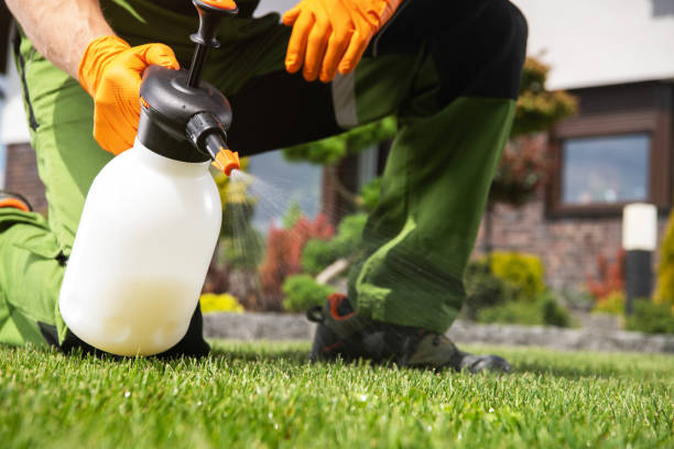 Best Residential Pest Control  in Culver, IN