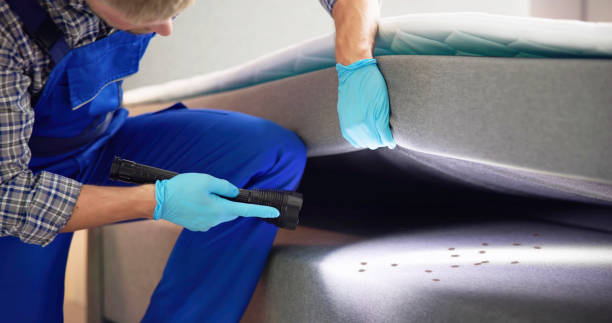 Best Cockroach Control Services  in Culver, IN