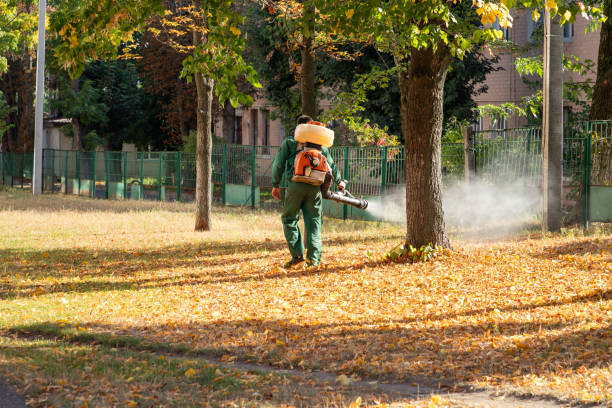 Best Pest Control Treatment  in Culver, IN