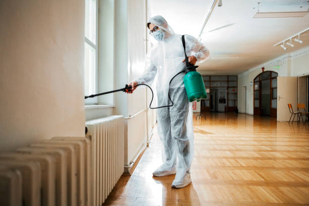 Best Local Pest Control Services  in Culver, IN