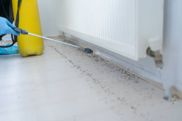 Best Mosquito Control Services  in Culver, IN